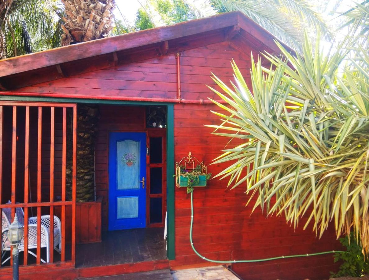 Suite In Nature Menaẖemya المظهر الخارجي الصورة